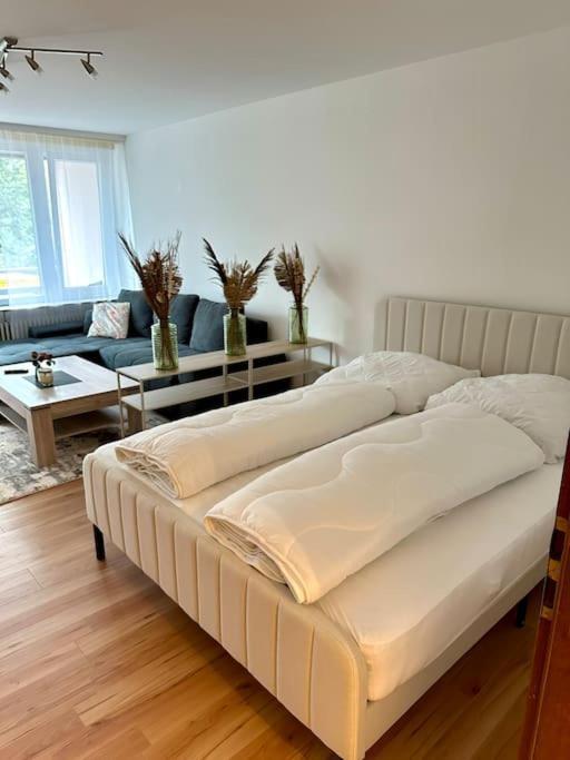Schwarzwald Appartement Freudenstadt